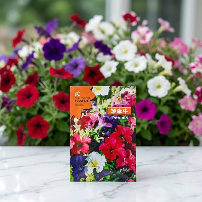 Petunia Mix Color Seeds