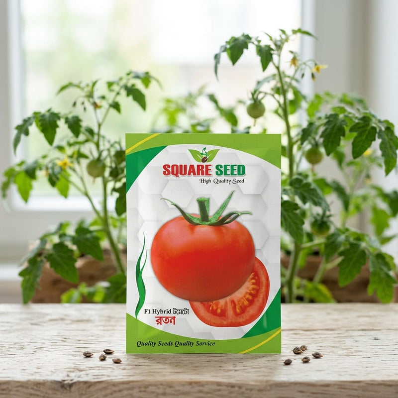 Tomato Seeds