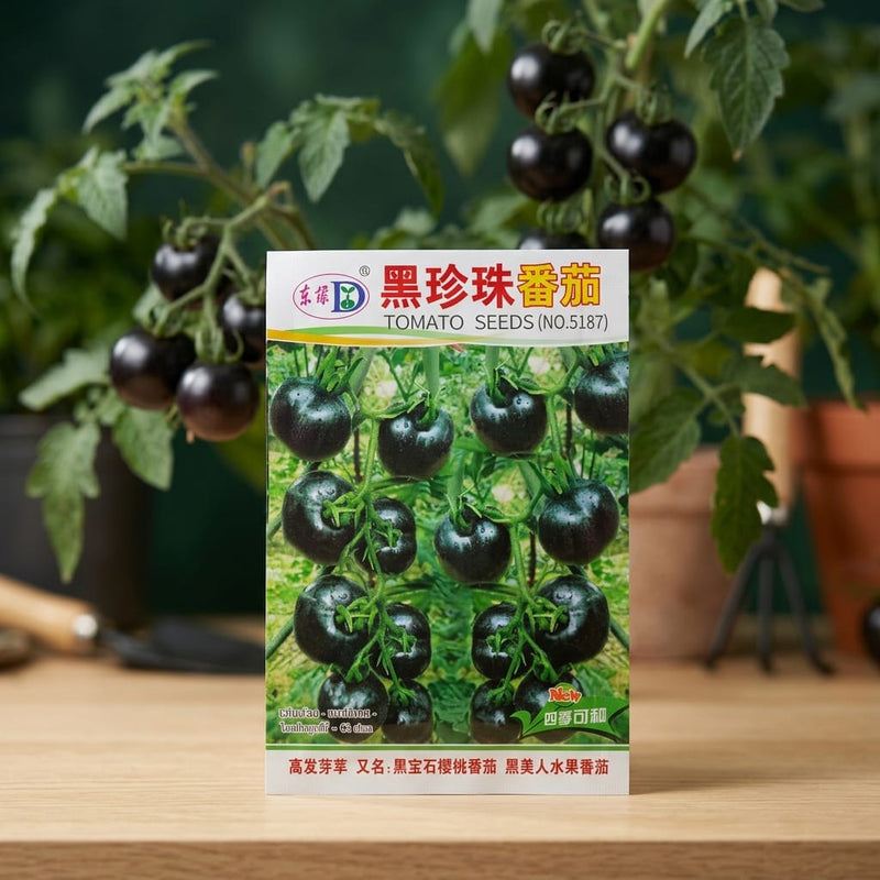 Black Tomato Seeds