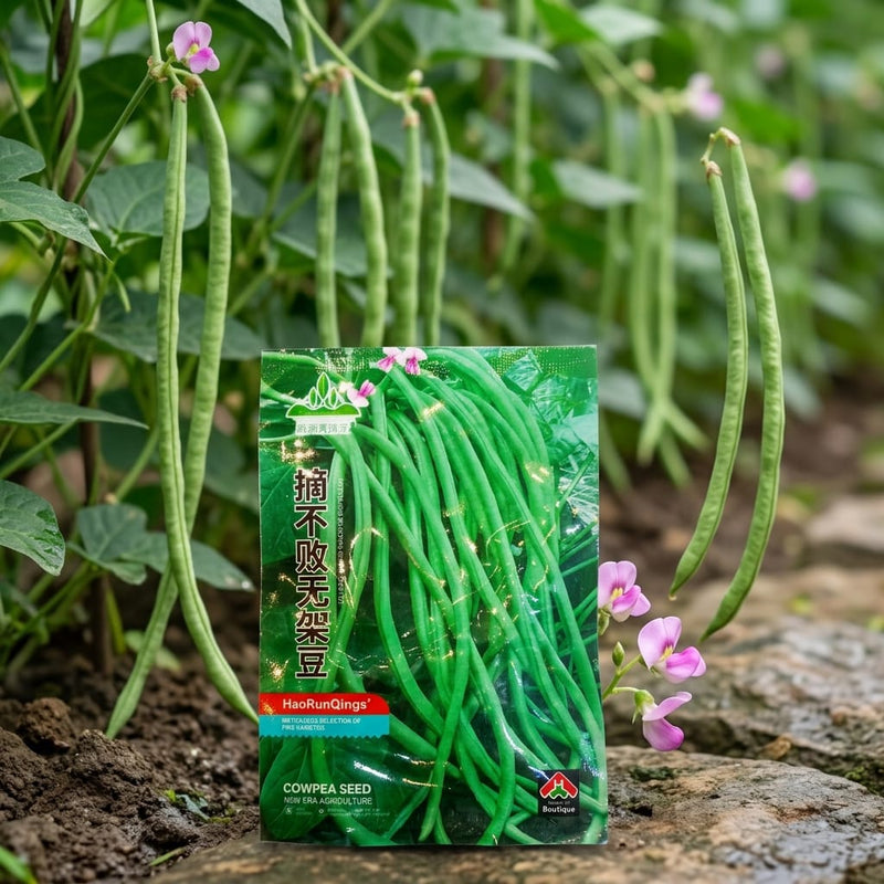Long Bean Seeds