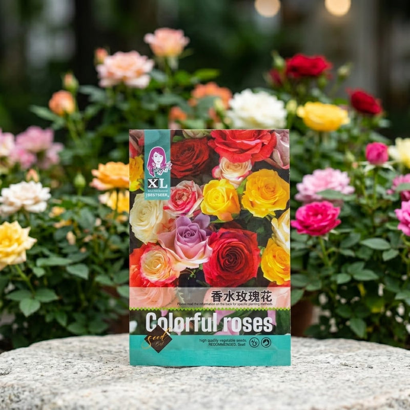 Rose Mix Color Seeds