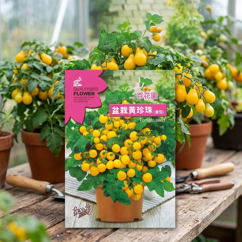 Yellow Tomato Seeds