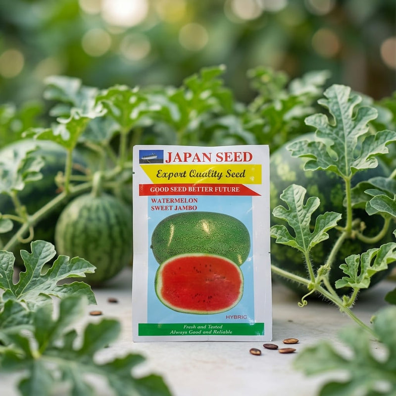 Watermelon Sweet Seeds
