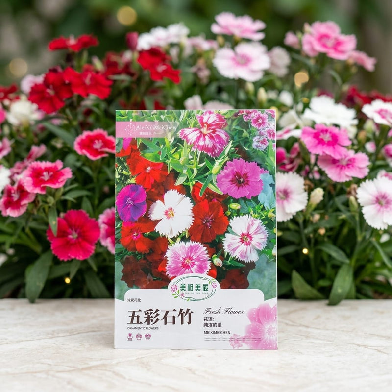 Dianthus Mix Color Seeds