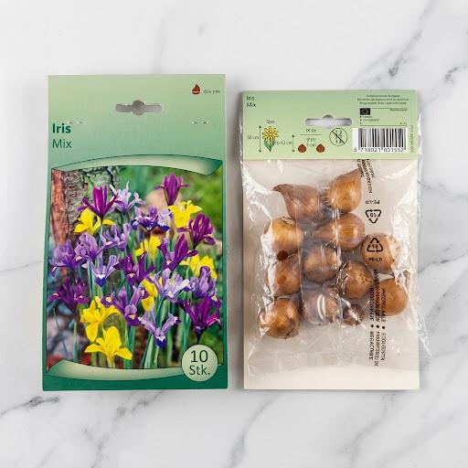 Iris Flower Bulb