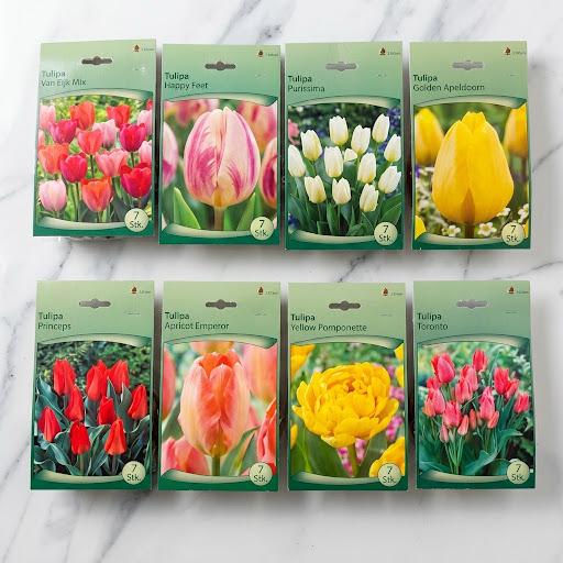 Tulip Mix Flower Bulb
