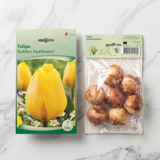 Tulip Mix Flower Bulb