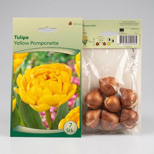 Tulip Mix Flower Bulb