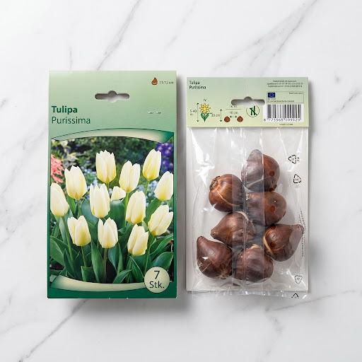 Tulip Mix Flower Bulb