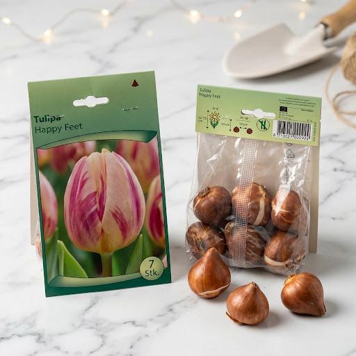 Tulip Mix Flower Bulb