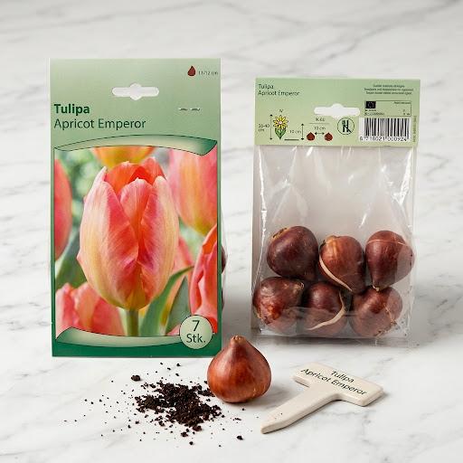 Tulip Mix Flower Bulb