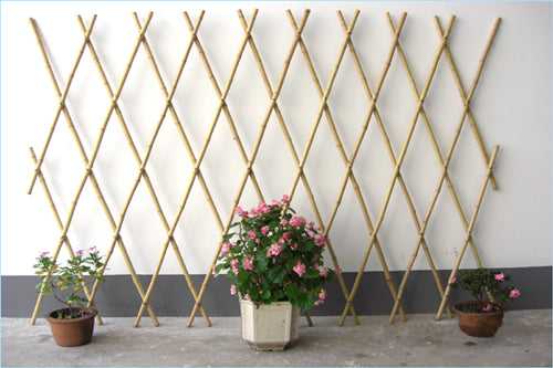 Bamboo Trellis 150X180cm
