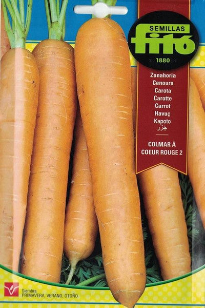 Fito Carrot Touchon