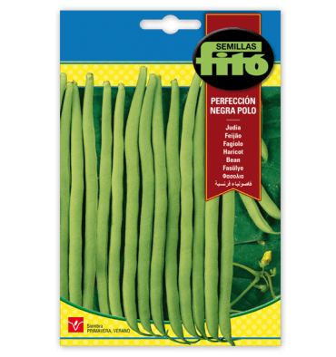 Fito Bean Perfeccion Negra- Polo