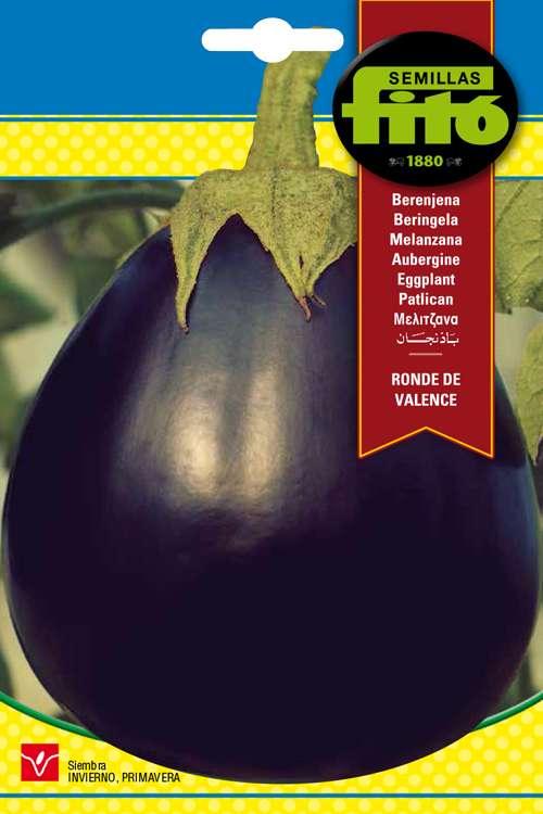 Fito Eggplant Redonda Negra