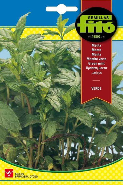 Fito Green Mint