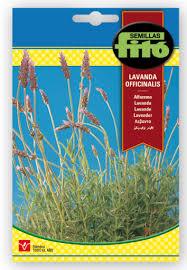 Fito Lavender