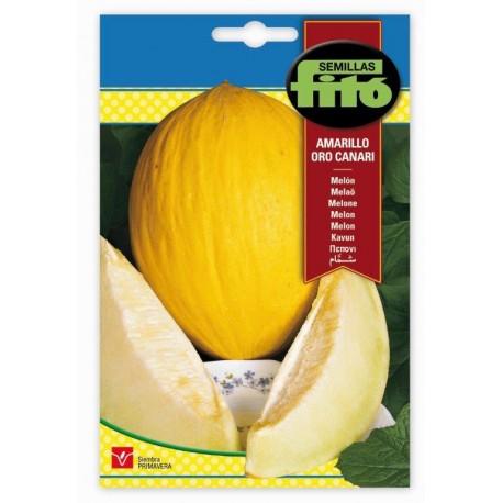 Fito Melon Amarillo Oro- canari