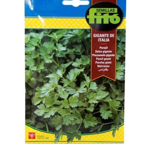 Fito Parsely giant