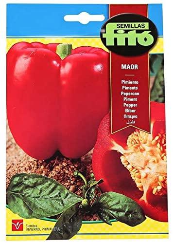 Fito Pepper Maor