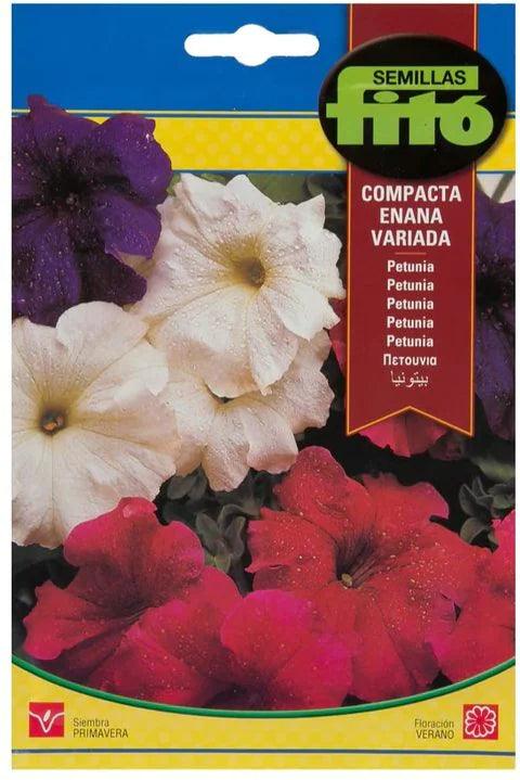 Fito Petunia dwarf compact mixed