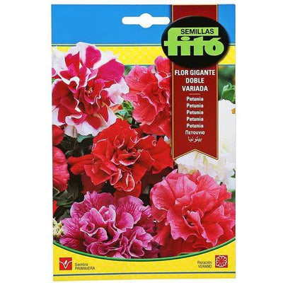 Fito Petunia multi flora hybrid double mix