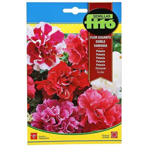 Fito Petunia multi flora hybrid double mix