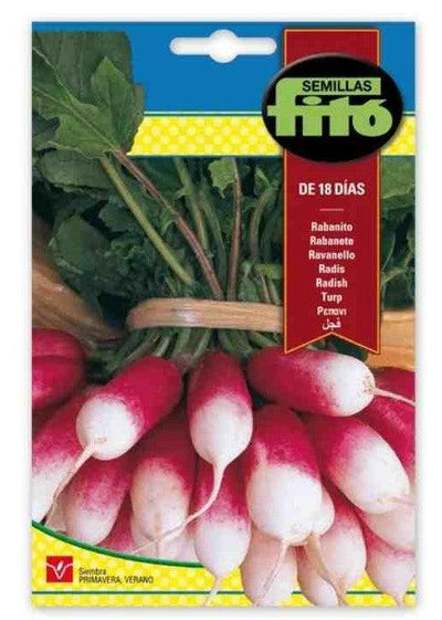 Fito Radish de 18 Dias