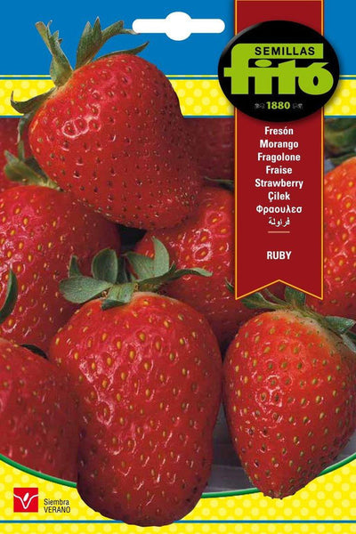 Fito Strawberry Rubi