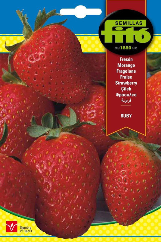 Fito Strawberry Rubi
