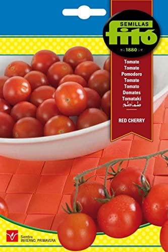 Fito Tomato Cherry
