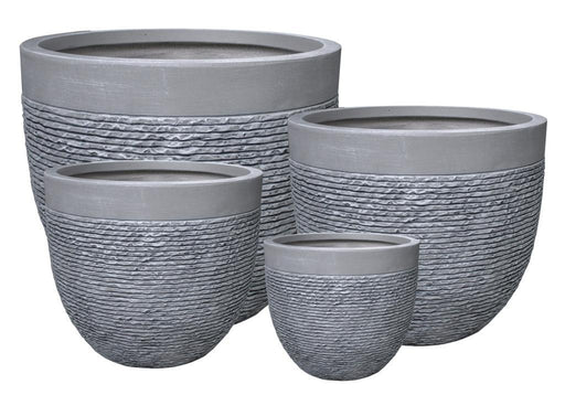 ALMELO Planters GA 172886