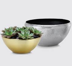 Two decorative bowls, one gold and one silver, with a small succulent plant on a white background.