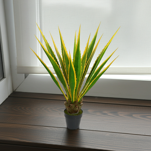 Potted plant with green and yellow leaves on a wooden surface
